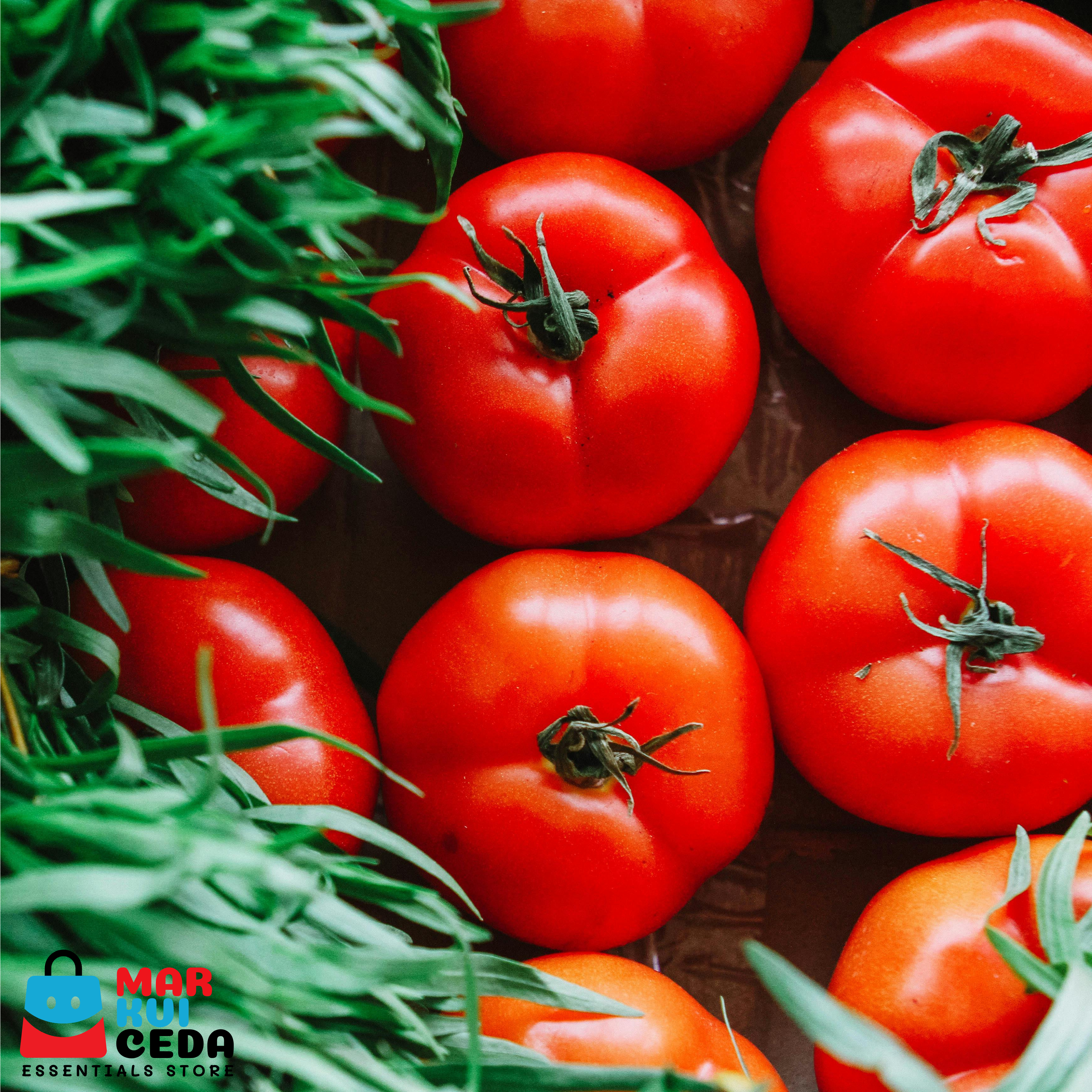 Kamatis (Tomato)